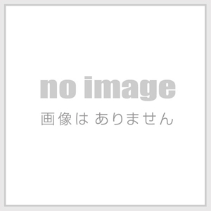 Autowear スイフト 83S フロアマット モデル：ダブルマット カラー：